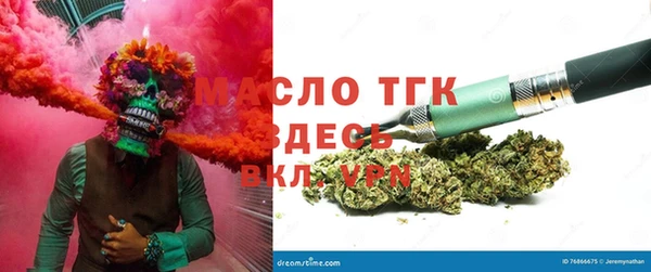 индика Заволжье