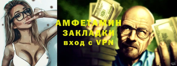 индика Заволжье