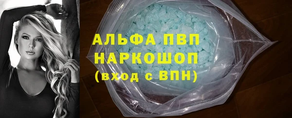 индика Заволжье