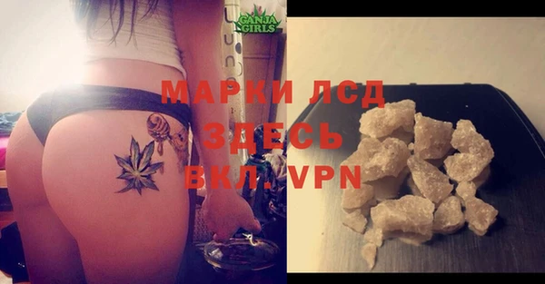 индика Заволжье
