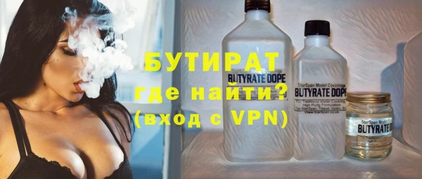 индика Заволжье