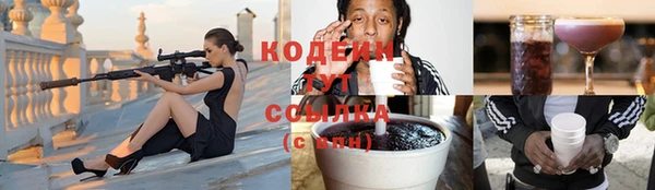 индика Заволжье