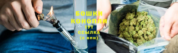 индика Заволжье