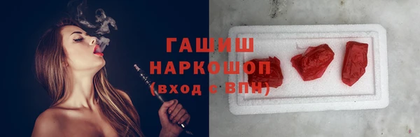 индика Заволжье