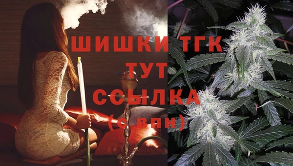 индика Заволжье