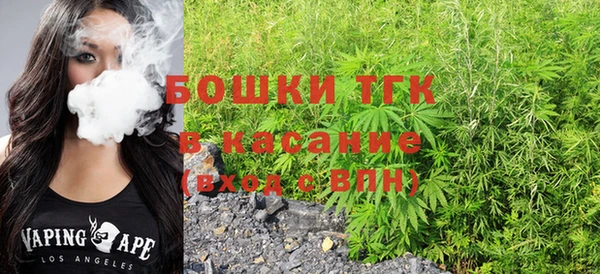 индика Заволжье