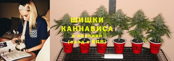 индика Заволжье