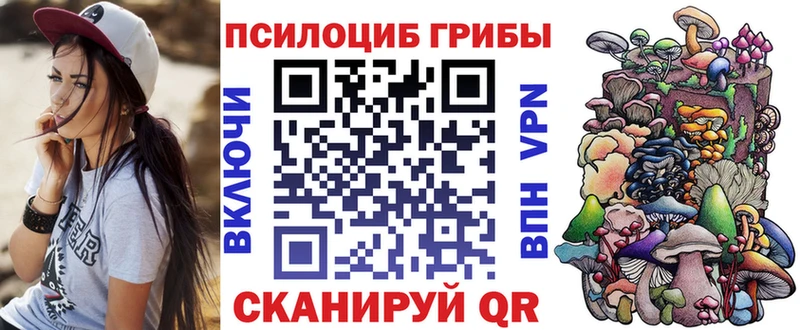 Купить  Моздок  Галлюциногенные грибы Psilocybine cubensis 